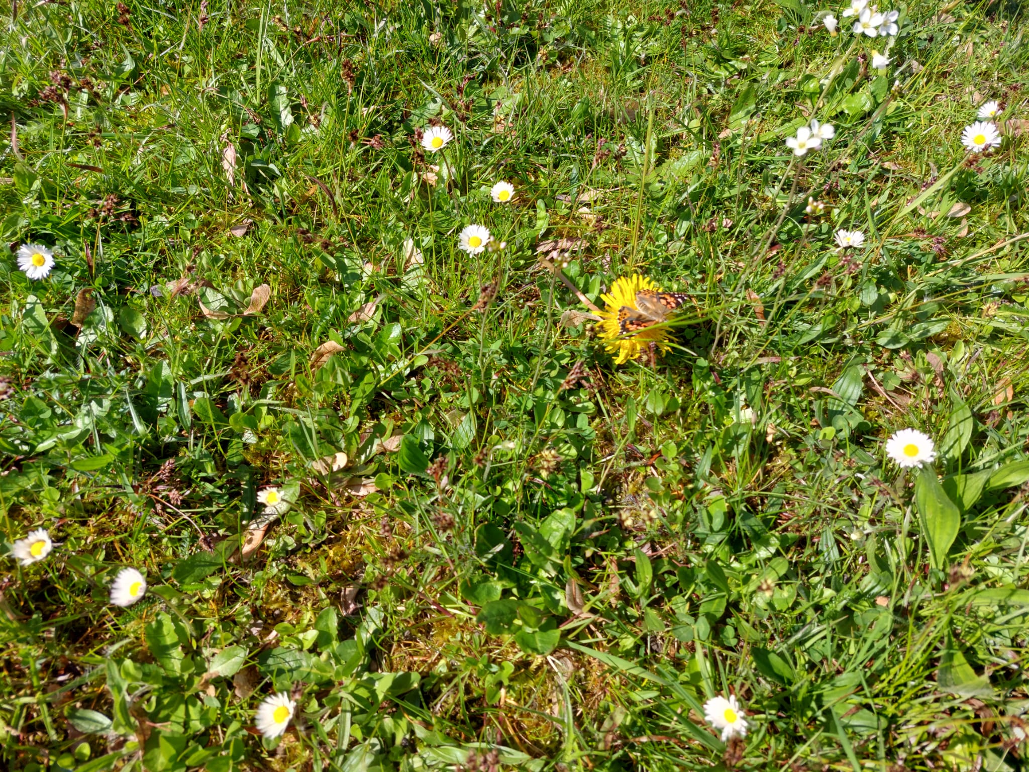 IMG-20230505-WA0006