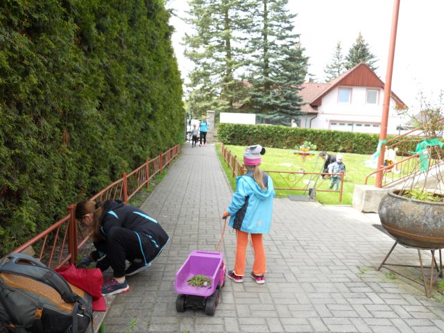 DSCN0586