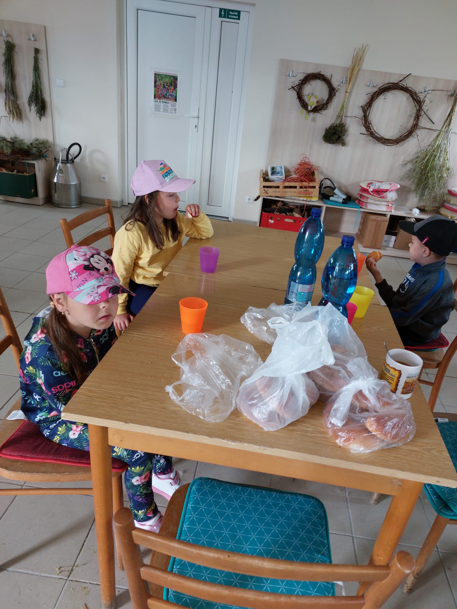 IMG-20230619-WA0009