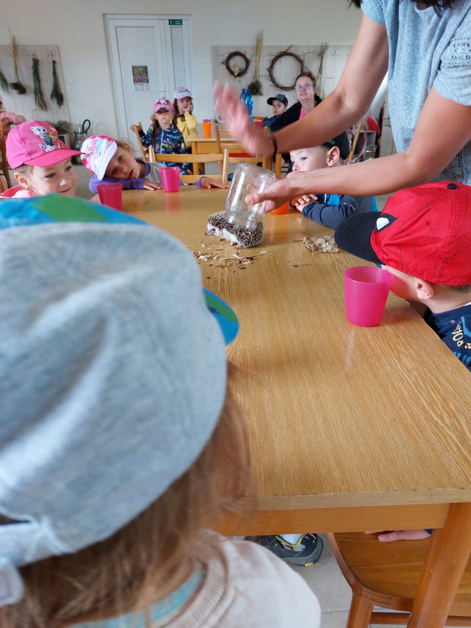 IMG-20230619-WA0010