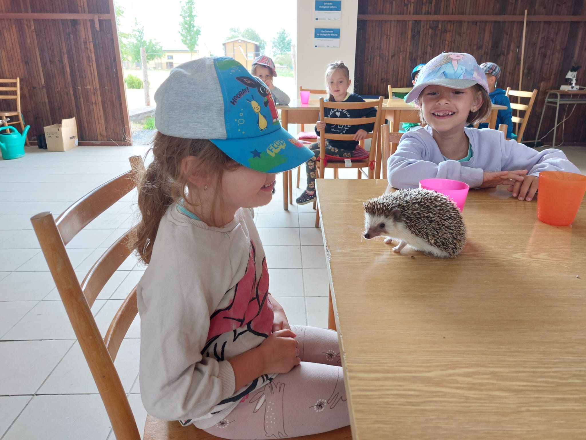 IMG-20230619-WA0013