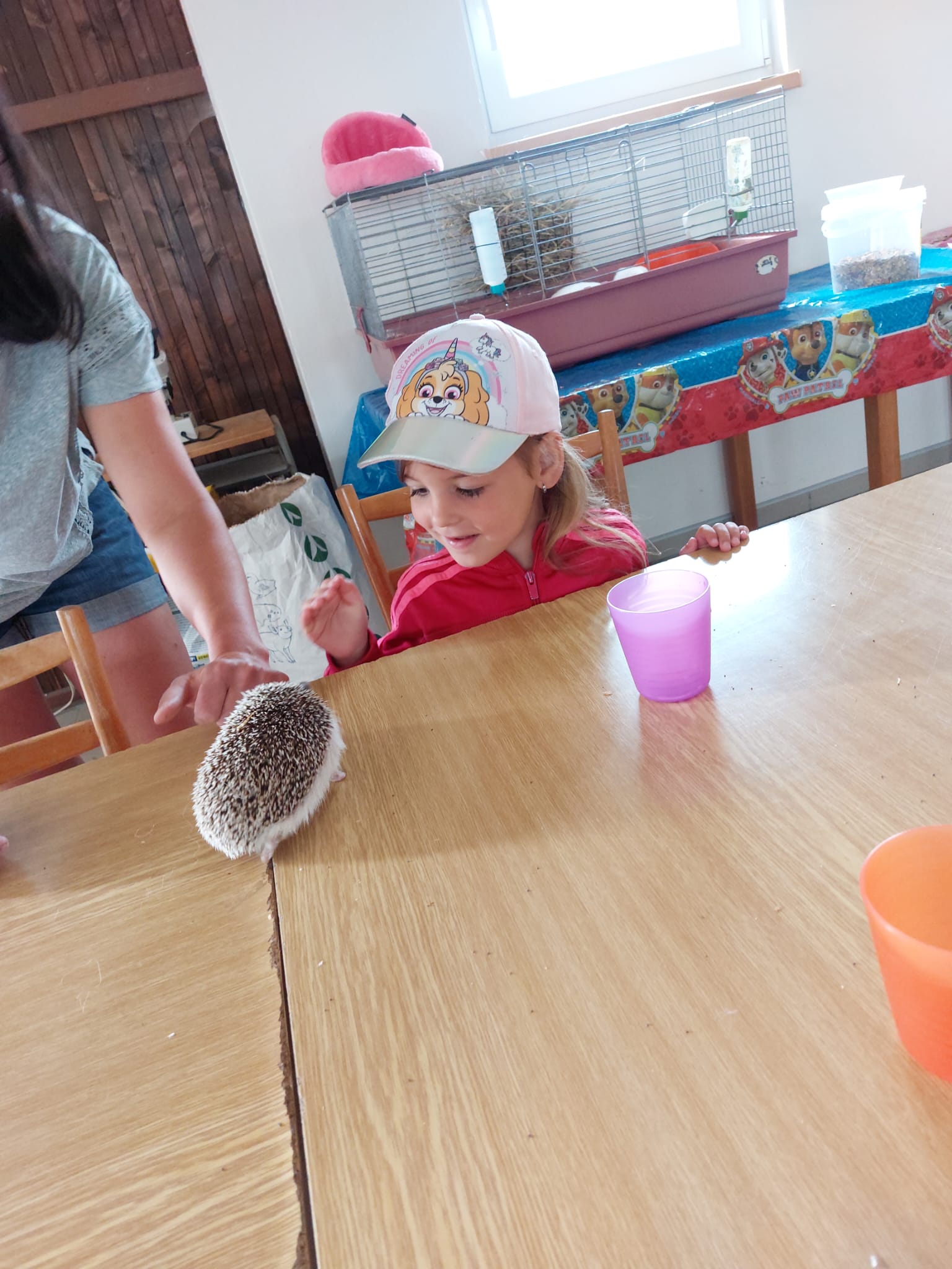 IMG-20230619-WA0017