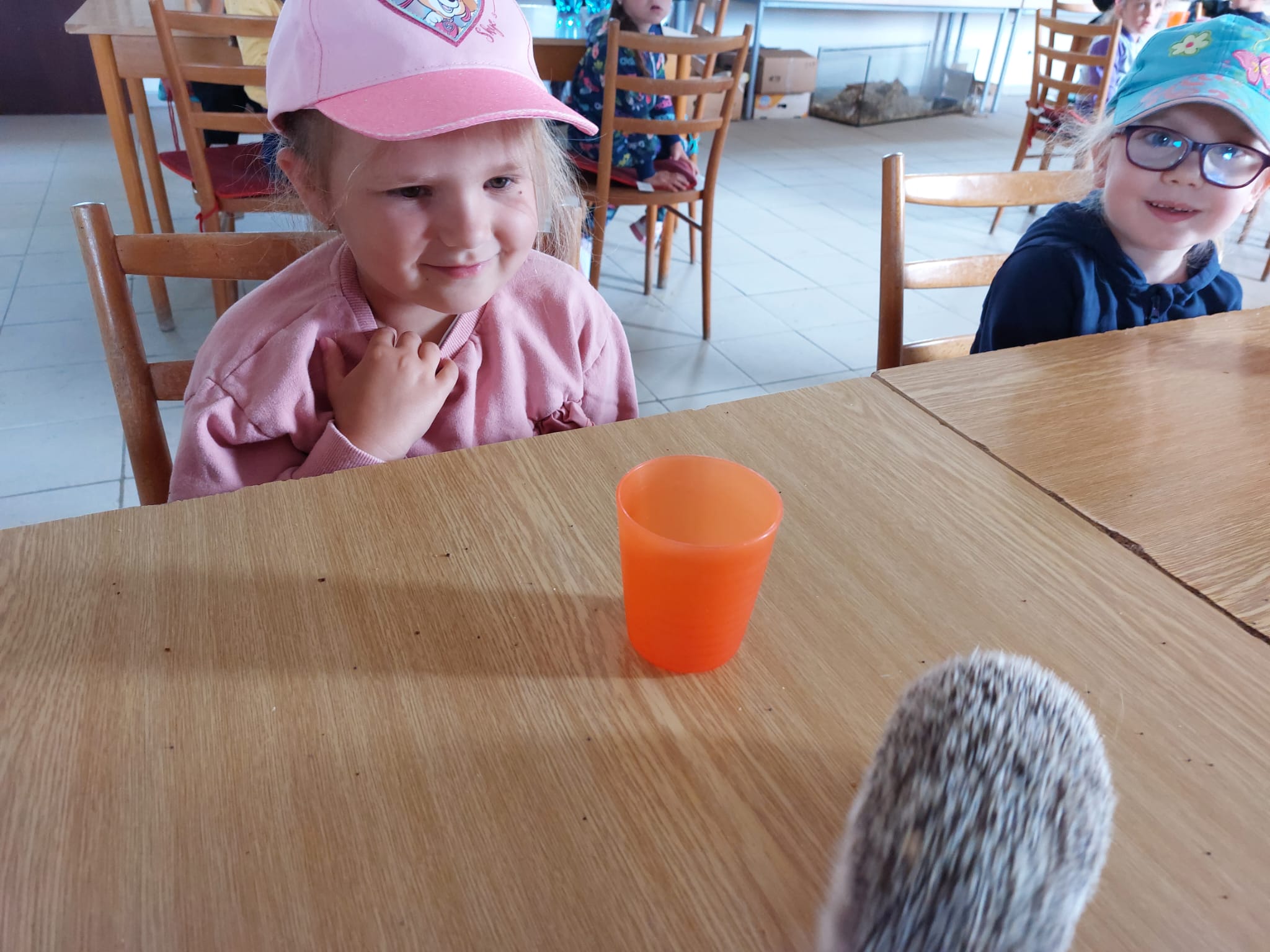 IMG-20230619-WA0021