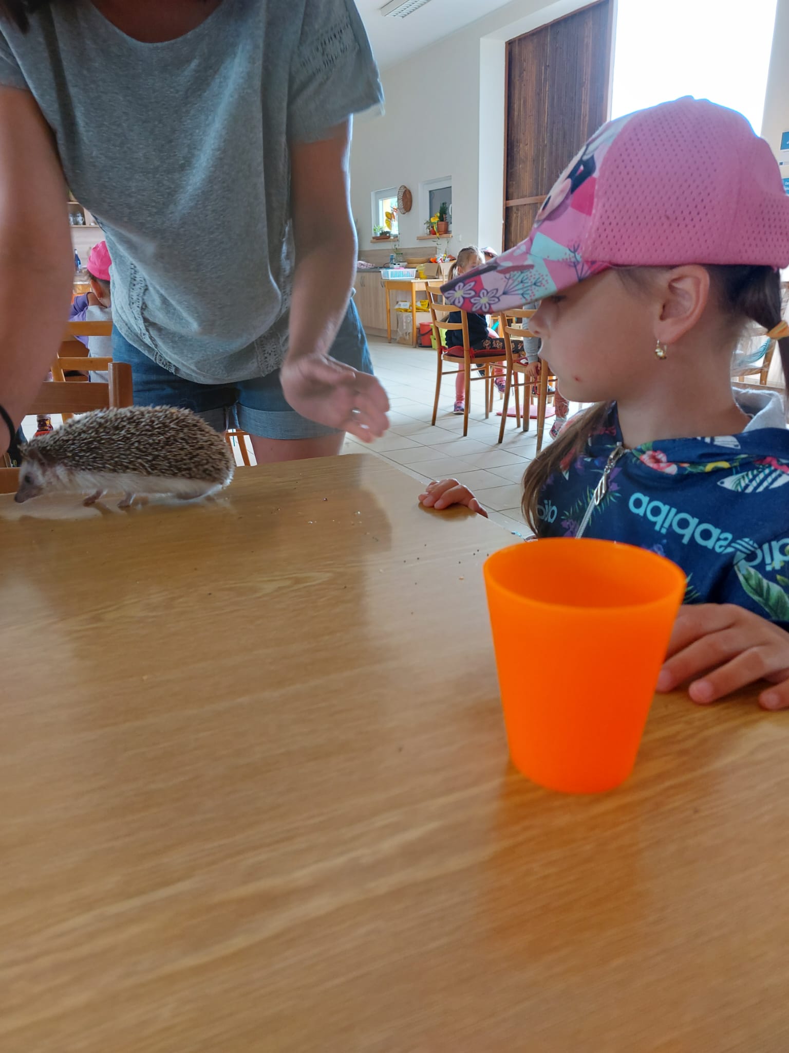 IMG-20230619-WA0020