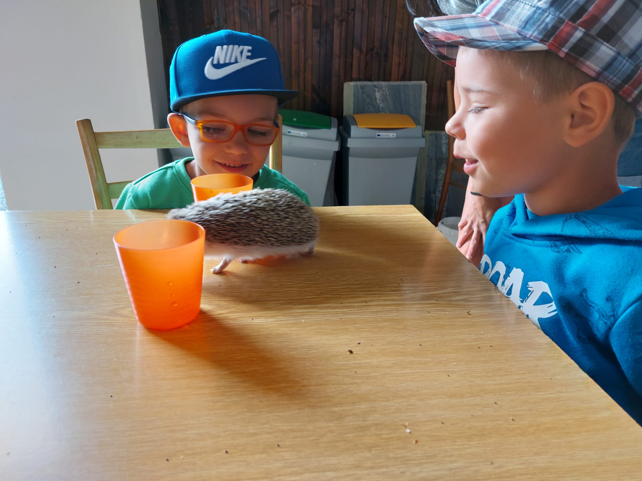 IMG-20230619-WA0025