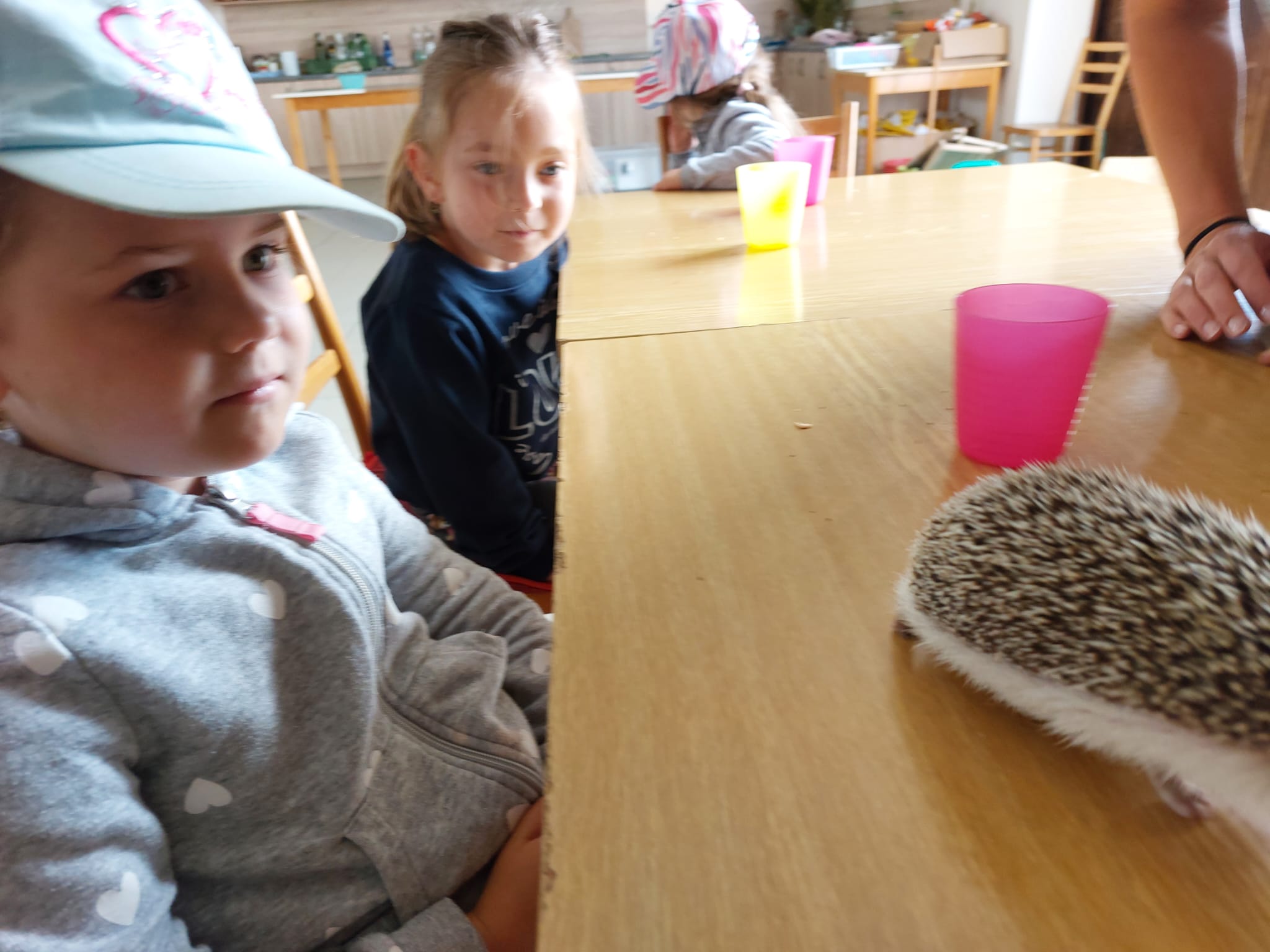 IMG-20230619-WA0026