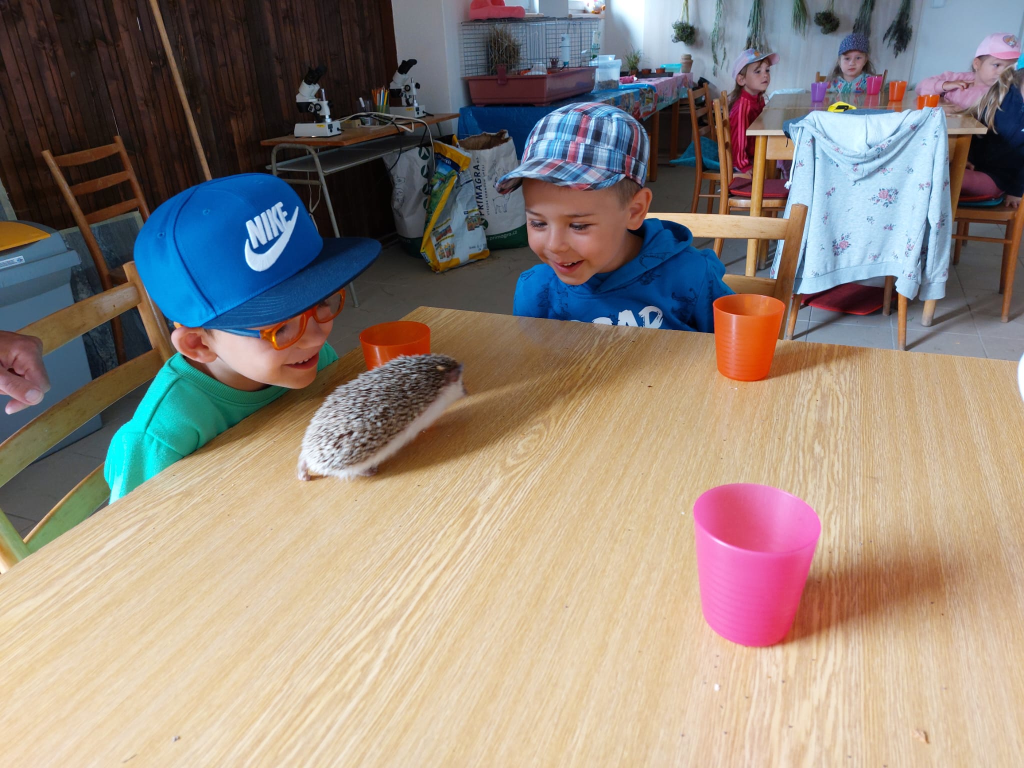 IMG-20230619-WA0029