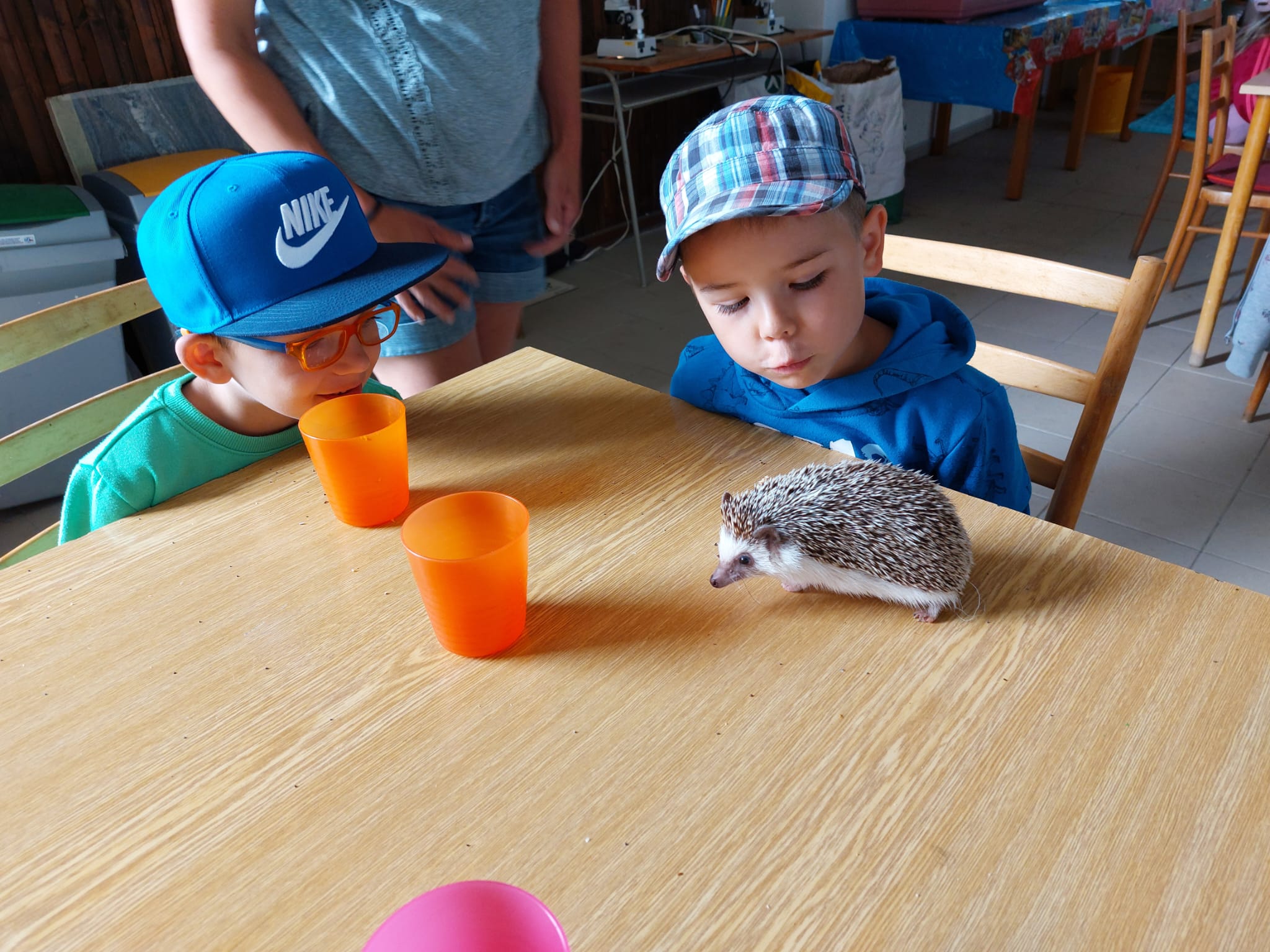 IMG-20230619-WA0033