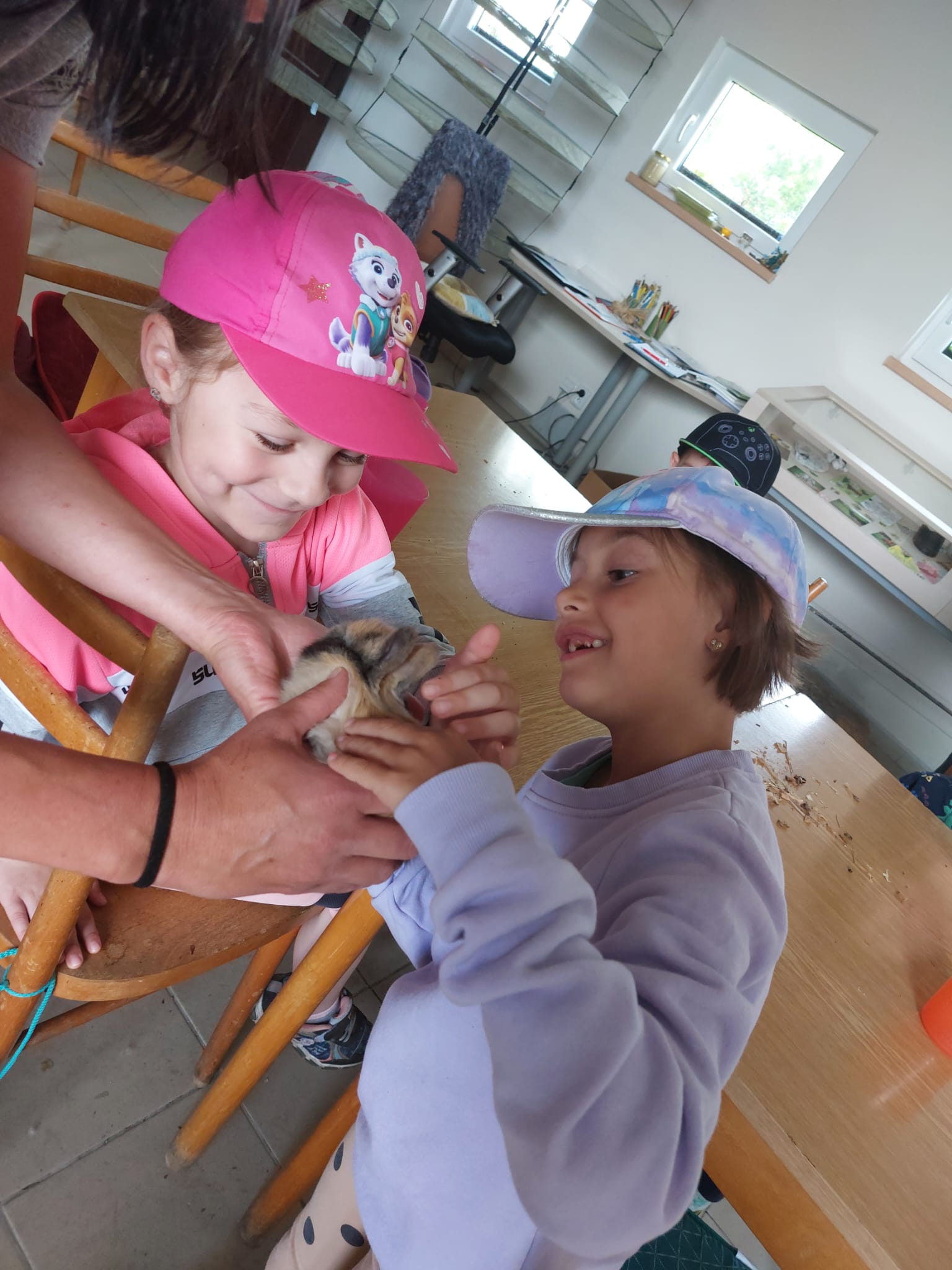IMG-20230619-WA0041