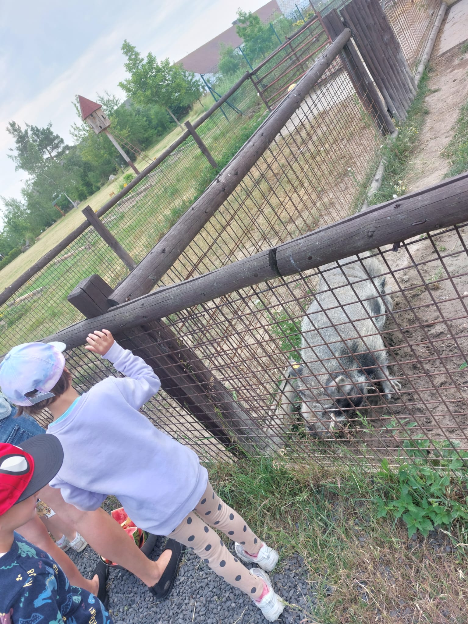 IMG-20230619-WA0044