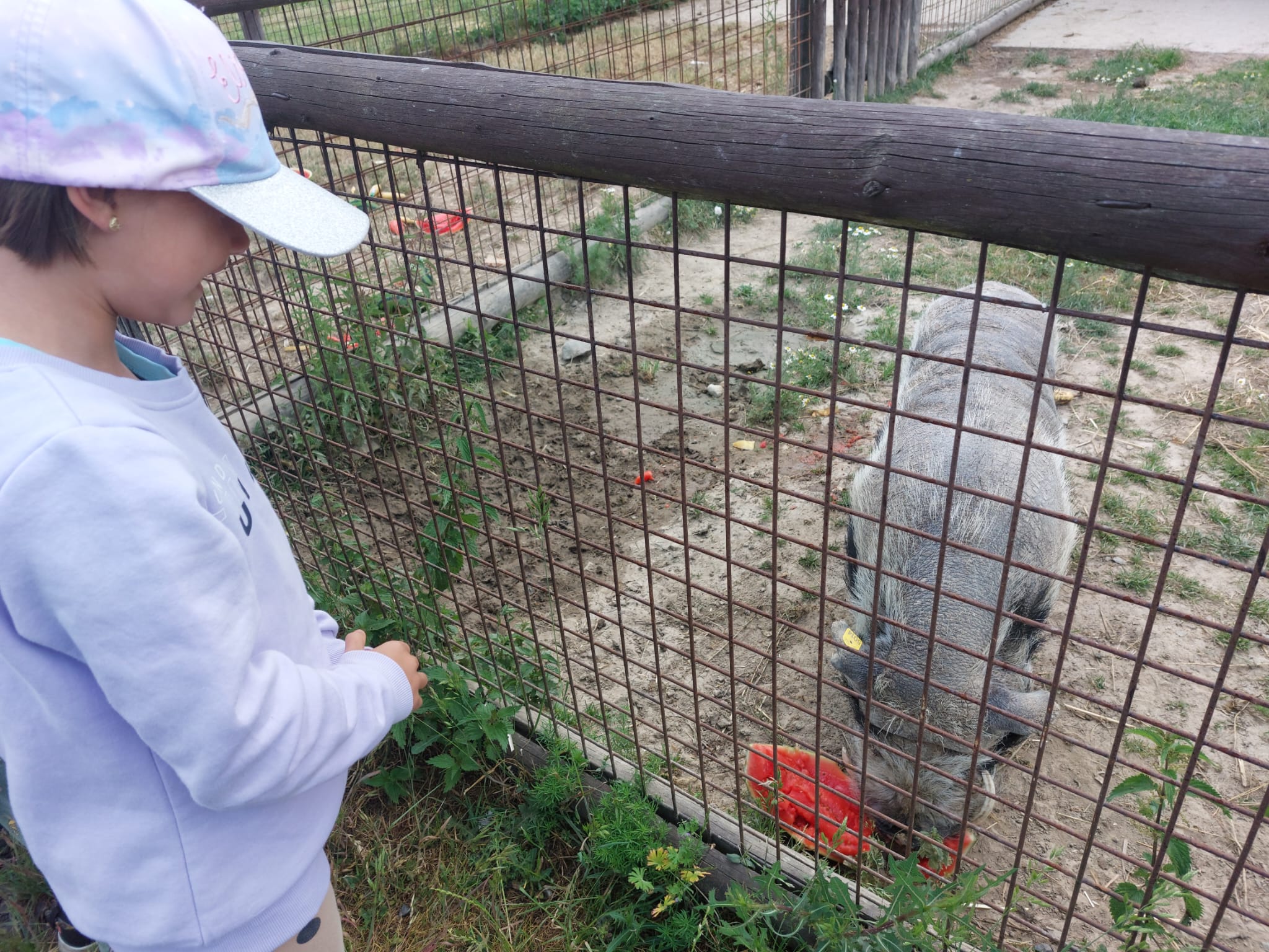 IMG-20230619-WA0046