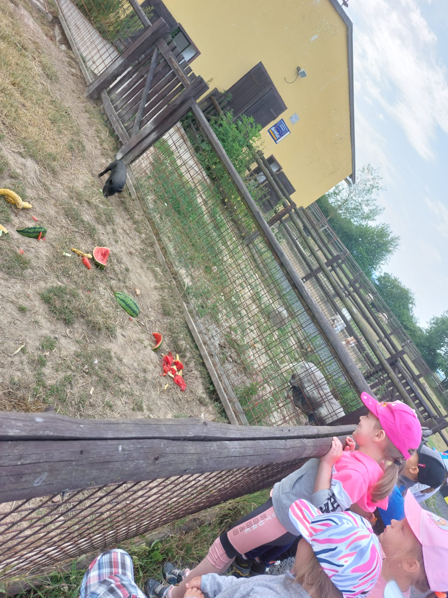 IMG-20230619-WA0048