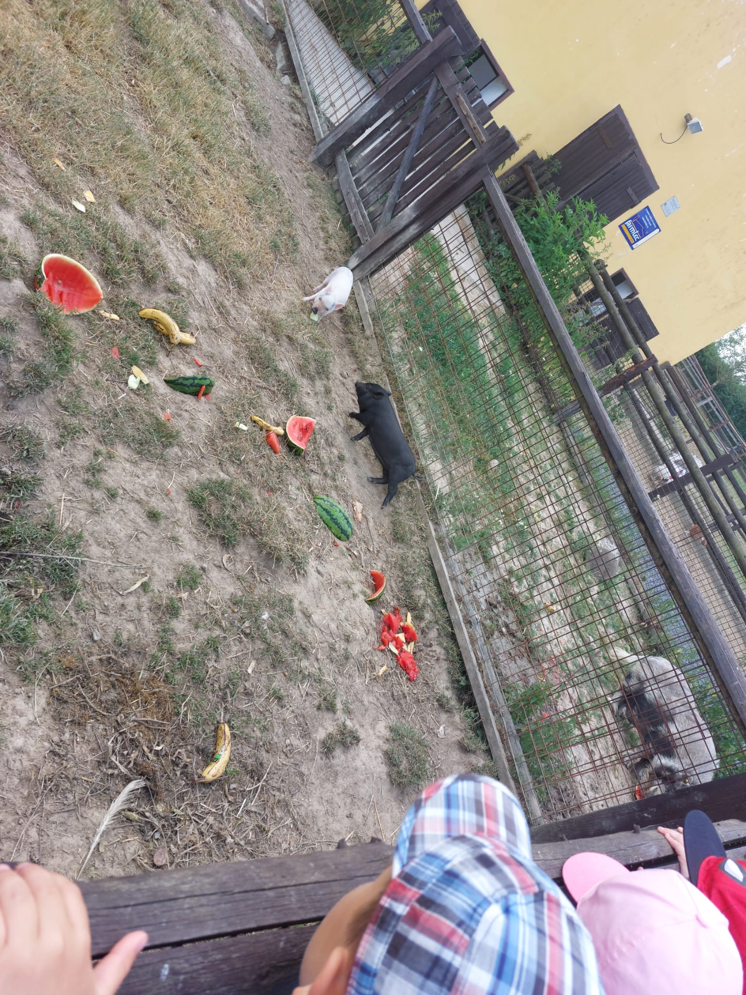 IMG-20230619-WA0050