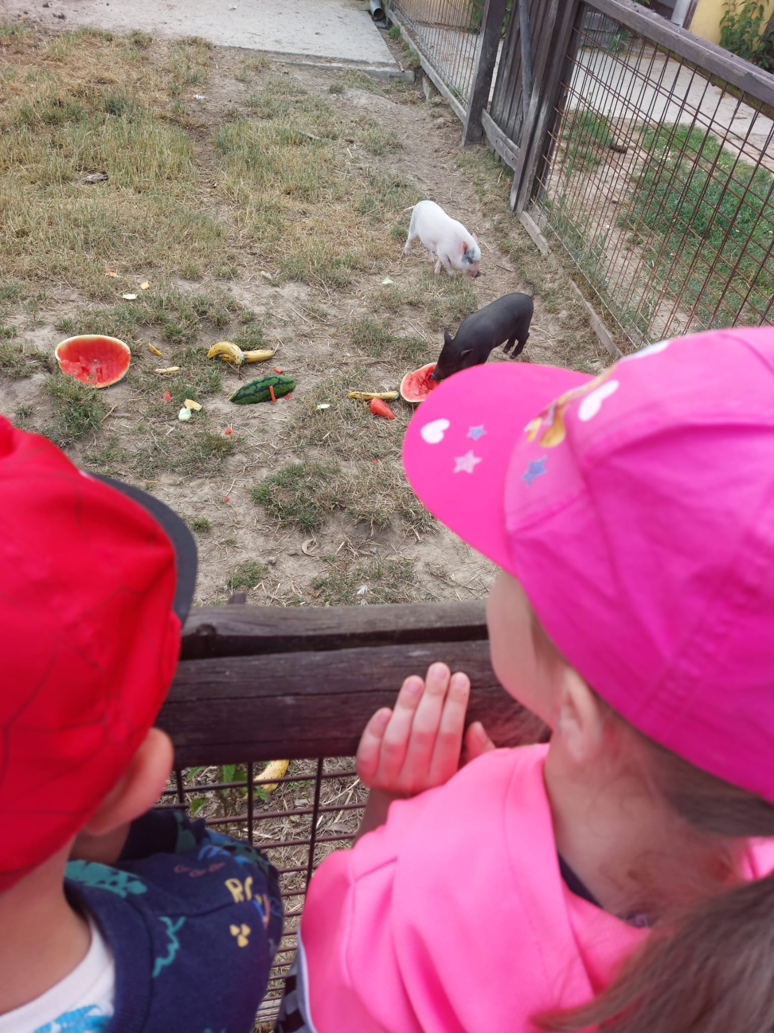 IMG-20230619-WA0051