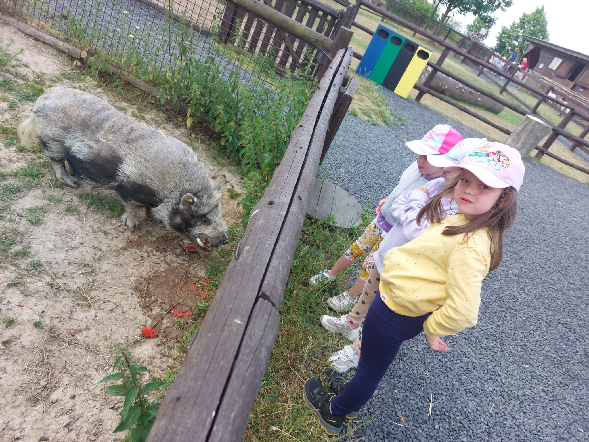 IMG-20230619-WA0053