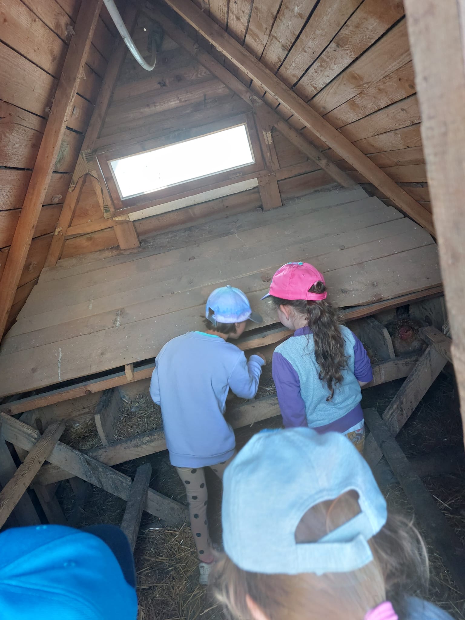 IMG-20230619-WA0054