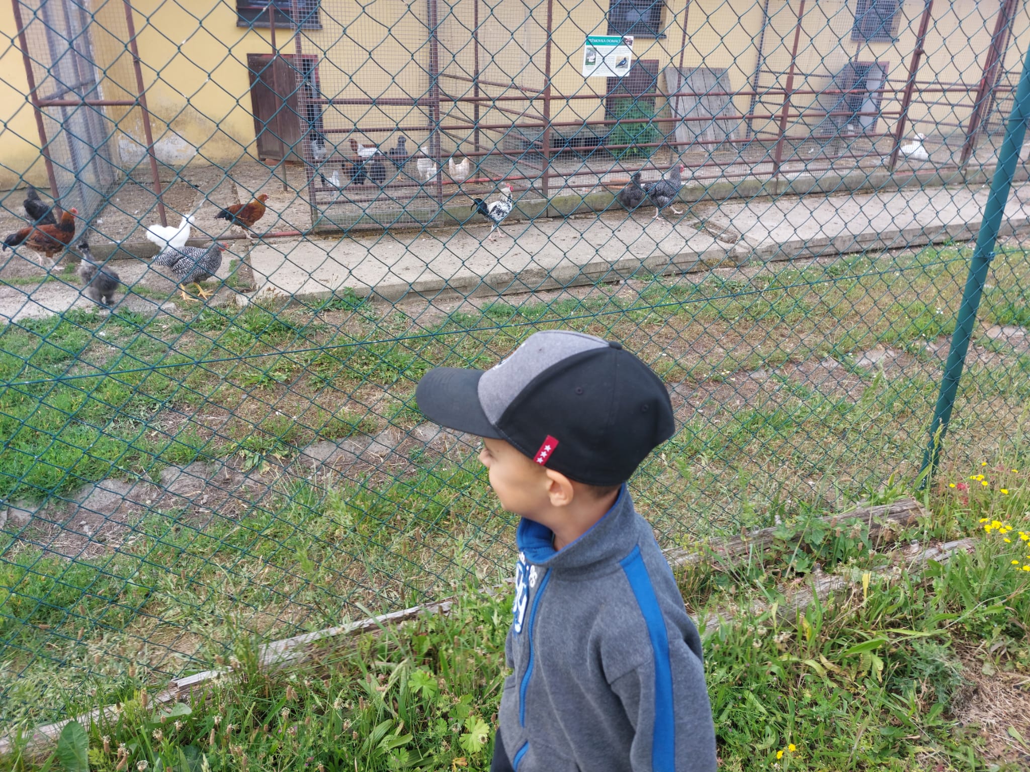 IMG-20230619-WA0061