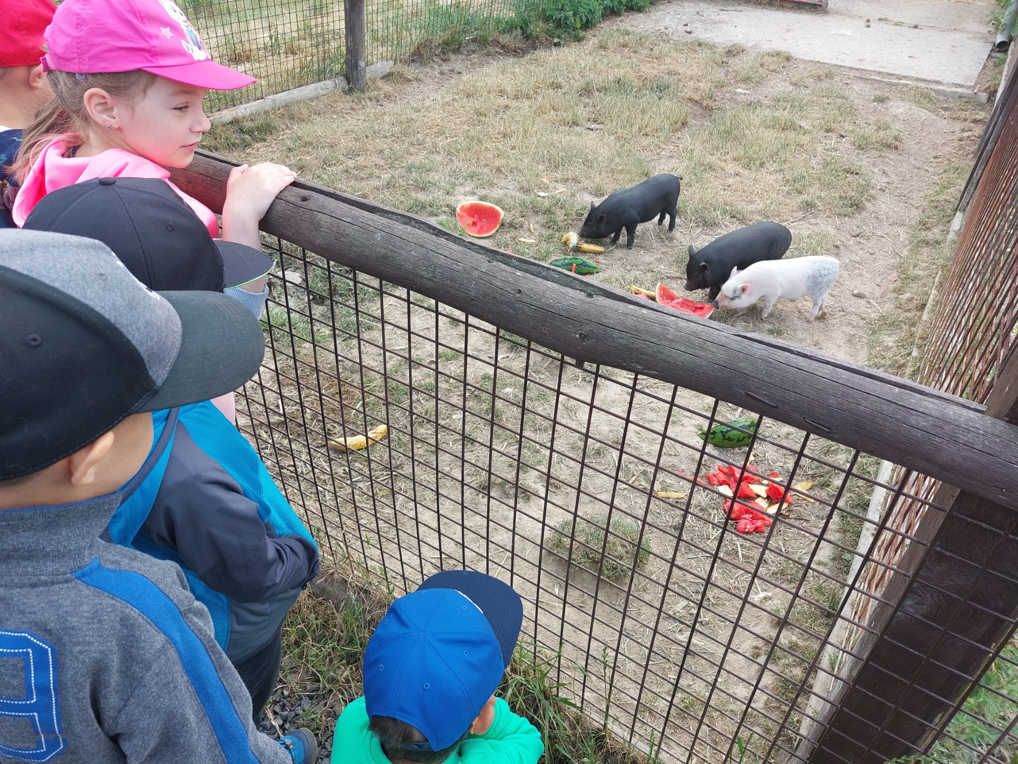 IMG-20230619-WA0062