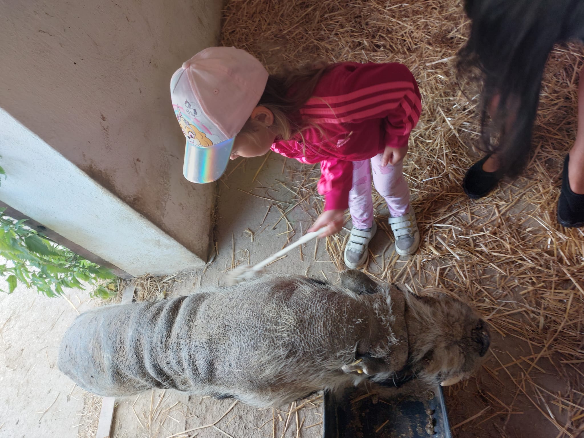 IMG-20230619-WA0070