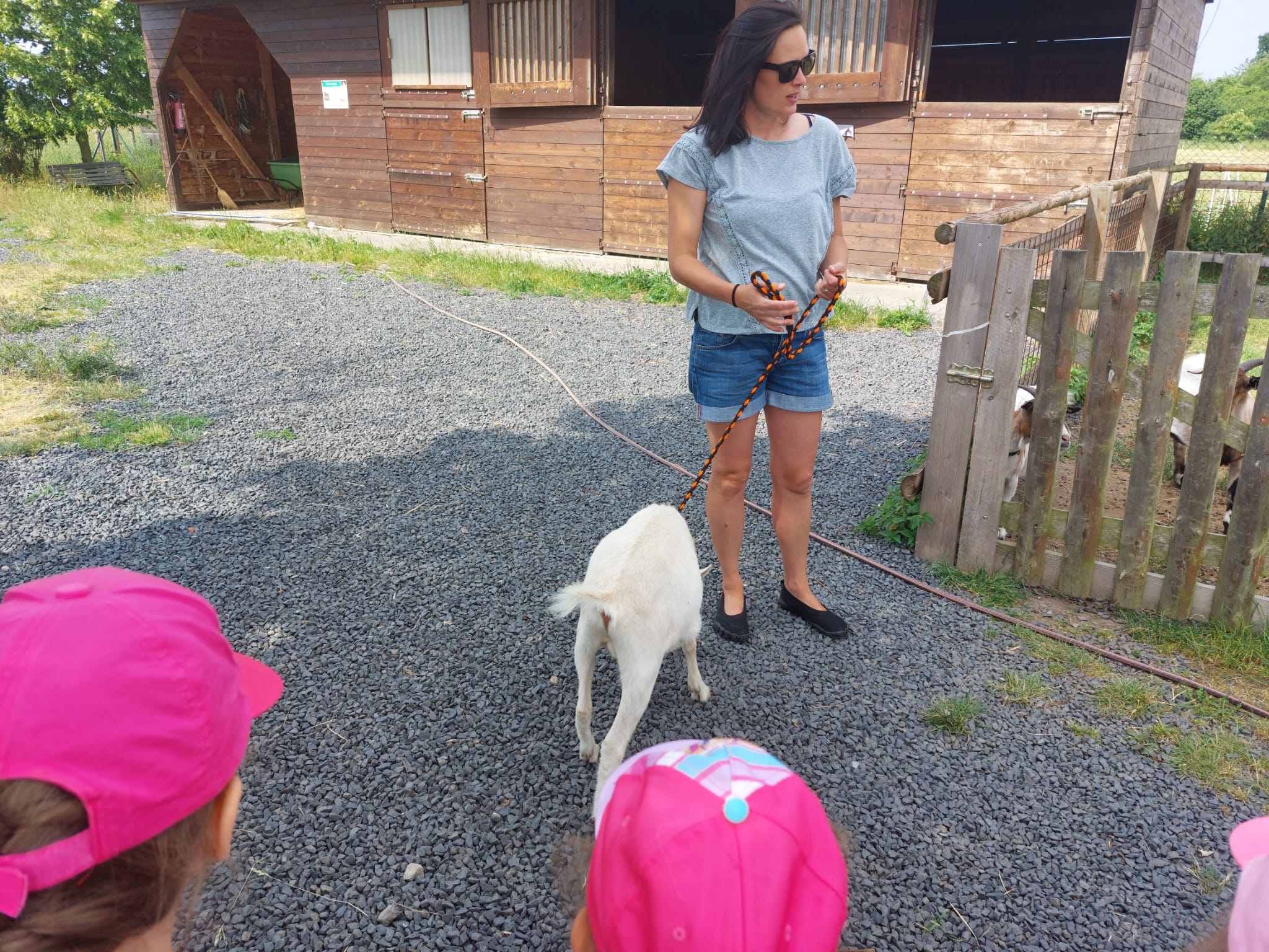 IMG-20230619-WA0081