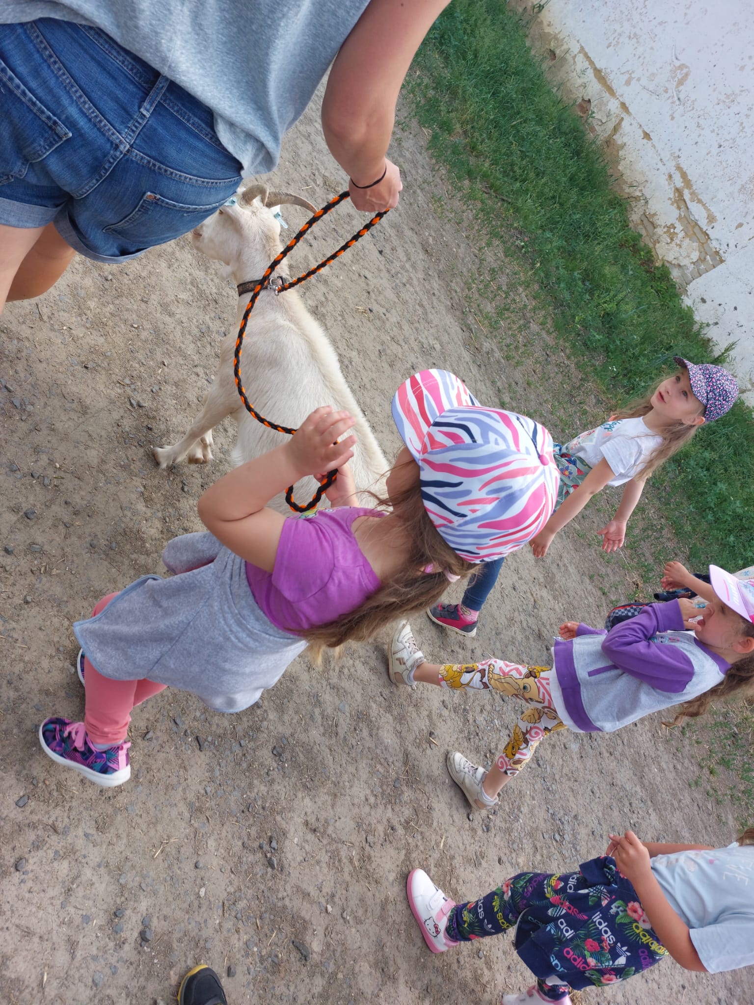 IMG-20230619-WA0087