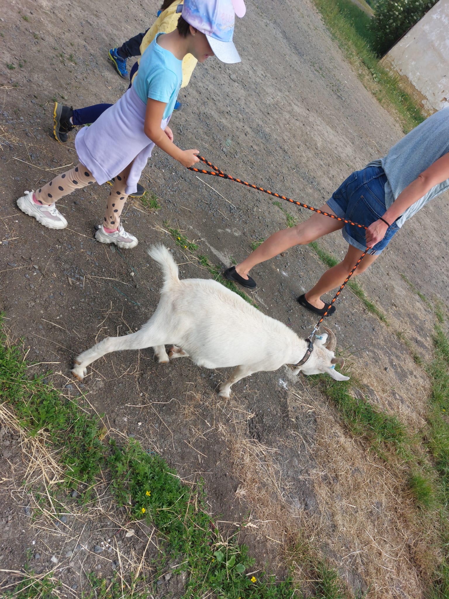 IMG-20230619-WA0090
