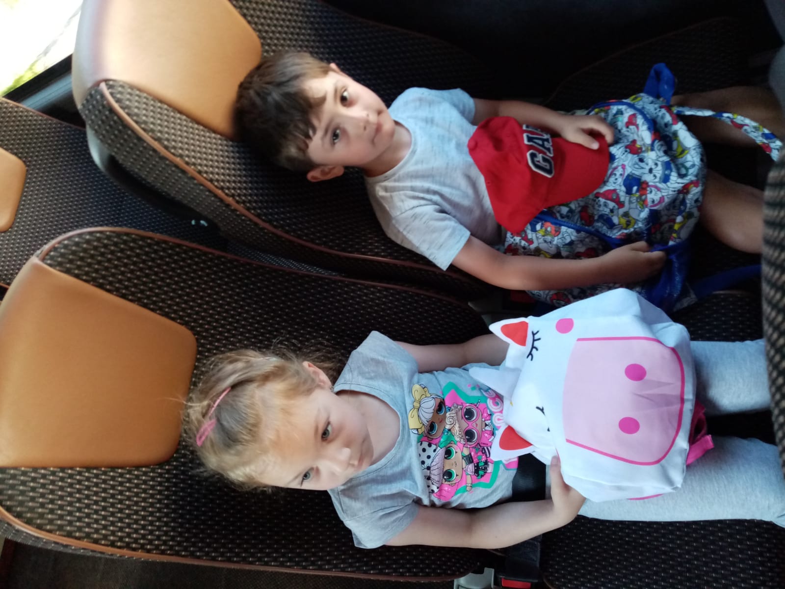 IMG-20230626-WA0022