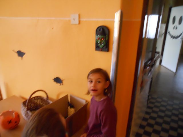 DSCN0282