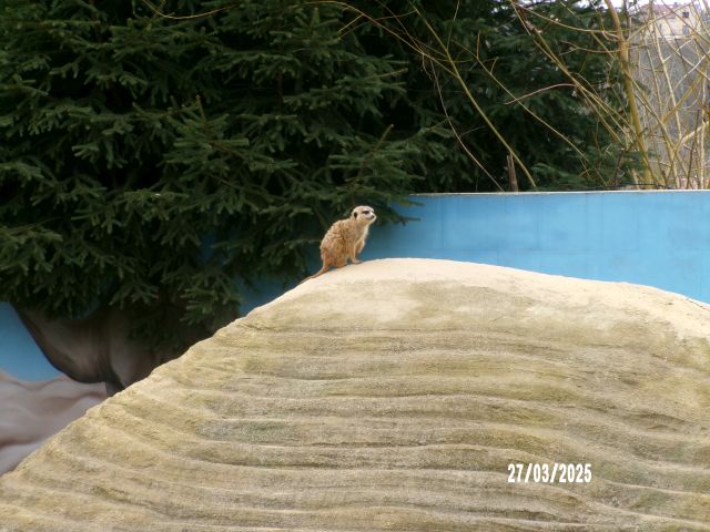 100_1035