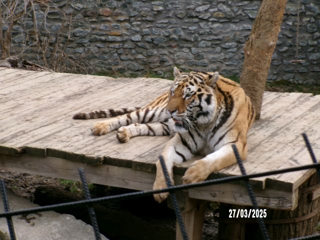 100_1042