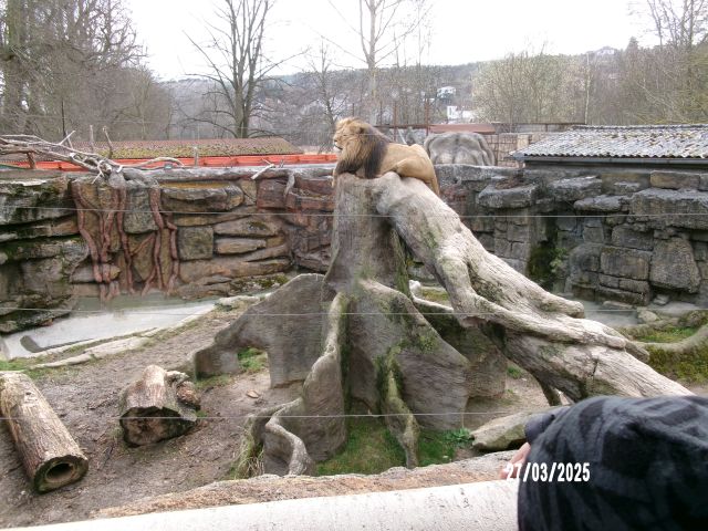 100_1112
