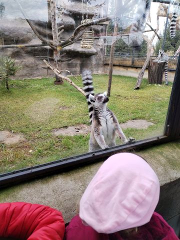 IMG_20250327_104614