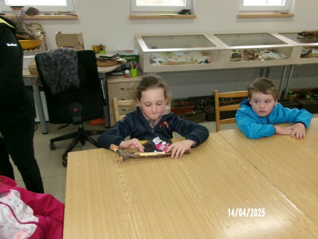 100_1332