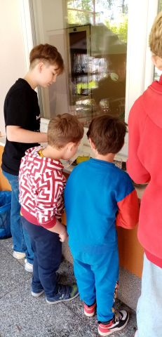 IMG_20250429_104505