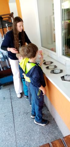 IMG_20250429_105200