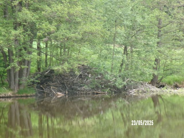 100_1799