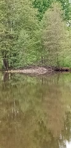 IMG_20250523_092127