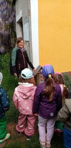 IMG_20250523_103319