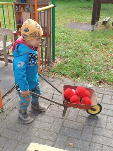 IMG-20251002-WA0031