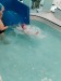 IMG_20250305_094113