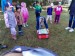 IMG-20250416-WA0003
