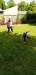 IMG_20250515_145212