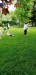 IMG-20250515-WA0006