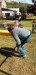 IMG-20250515-WA0008