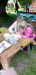 IMG-20250515-WA0037