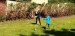 IMG-20250515-WA0038