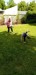 IMG-20250515-WA0043