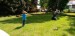 IMG-20250515-WA0050