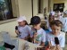 IMG-20250627-WA0081