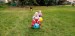 IMG-20251002-WA0080